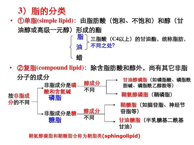脂类化学小结ppt