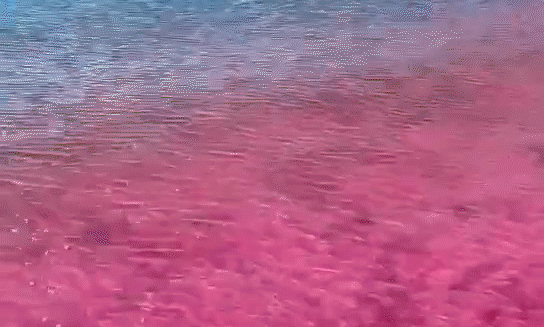泡泡池,恐龙乐园,海盗滑梯,摇摆桥,冰雪奇缘,儿童水寨,还有超大支架