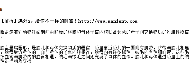 胎儿发育过程中与母体交换物质的器官是( )