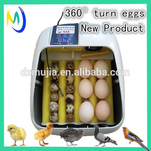 automatic homemade incubator chicken eggs automatic love birds
