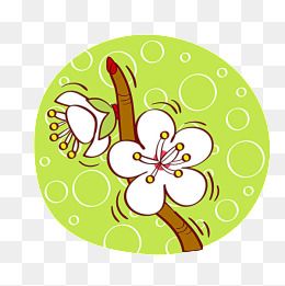 梨花手绘图片大全