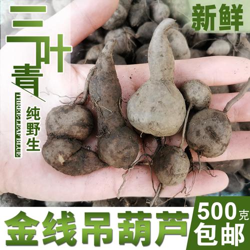 纯野野生三叶叶青金钱草吊葫芦中草药辅助清热其他药