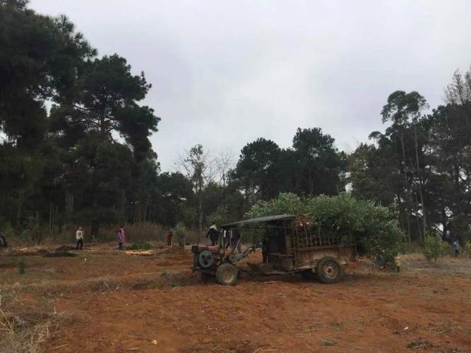 富川瑶族自治县,莲山镇,湿地公园,深井村,翟向群,龟石水库