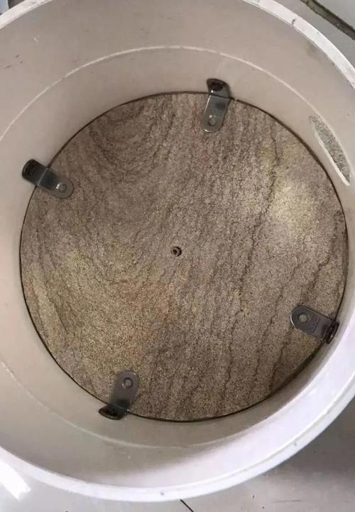 受疫情影响回不了家?看看这个硬核鱼池自动喂食器把!