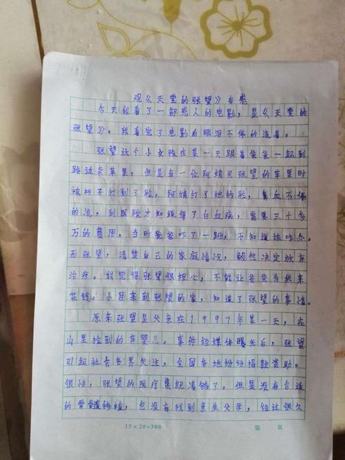 三年级杨佳睿 观《天堂的张望》有感