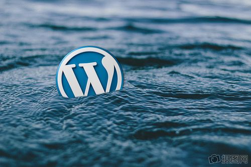 水面上的w标志