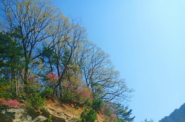 骑行红岭公路之穿行马鬃岭 相逢最美的金寨春天