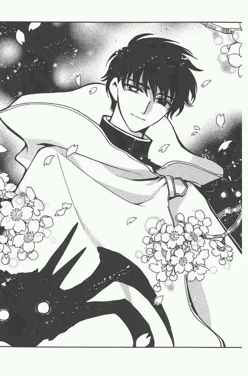 来自翼年代记,星史郎先生