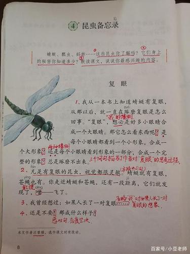 三年级下册语文第4课《昆虫备忘录》课文解析,让孩子