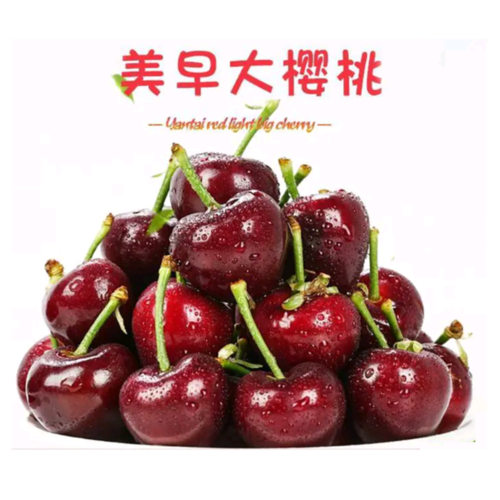 美早大樱桃净重3斤单果79克国产车厘子樱桃脆甜多汁新鲜采摘鲜贝达