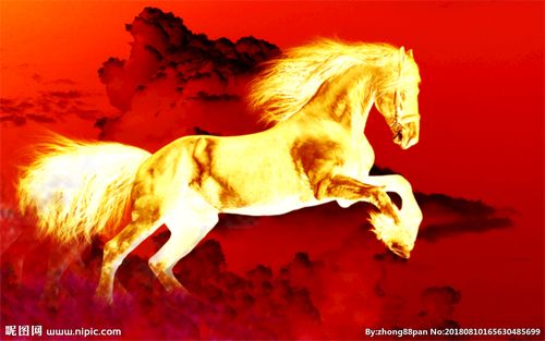 金色马图片