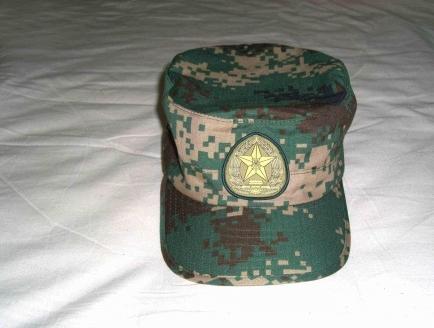 武警的作训服帽子上有帽带,士兵是红白,军官是金色的.