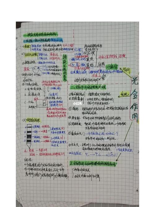 必修一,光合作用,呼吸作用