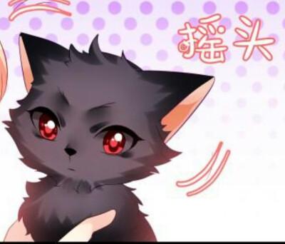 q狼头像图片大全