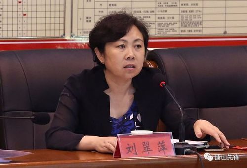 县委常委,组织部长,统战部长,县换届办公室主任王殿新,县政府副县长