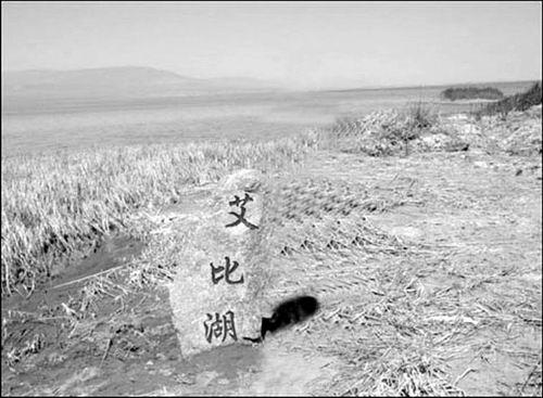 日渐干涸的艾比湖湖床.(资料图片)