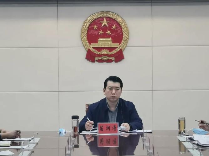区领导苗润涛,张守栋召开重点信访问题调度会