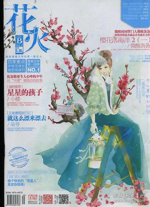 花火2013 12b
