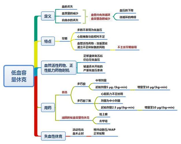 思维导图各种休克与血管活性药物的使用