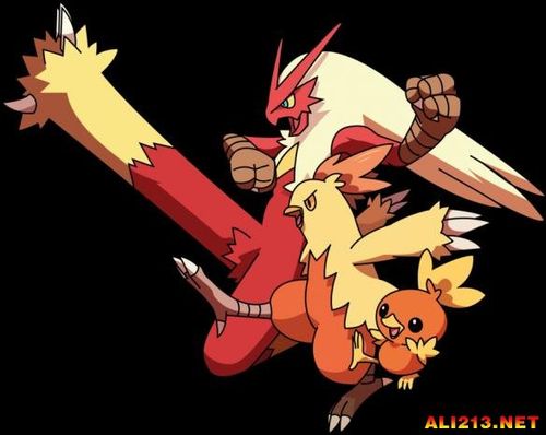  p>火焰鸡,日本 a href="#" data-lemmaid="13