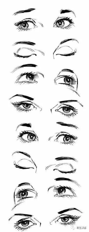 素描眼睛刻画的详细讲解,赶紧收藏