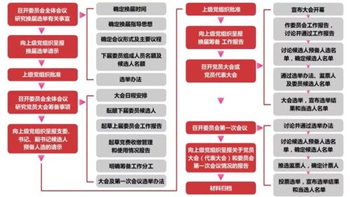 基层党委换届选举