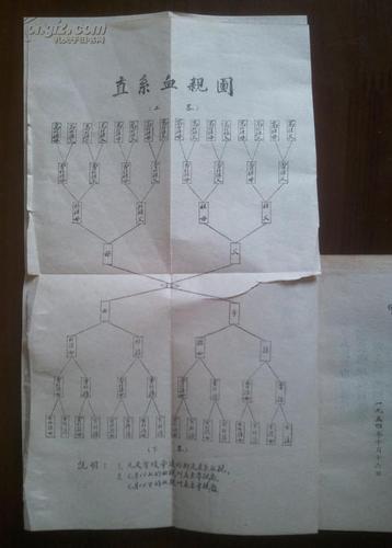 同姓不重要,重要的是有没有亲属关系,如果三代以内的亲属,一定不能