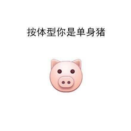 按体型你是单身猪 - 别总是说自己是单身狗了_内涵表情