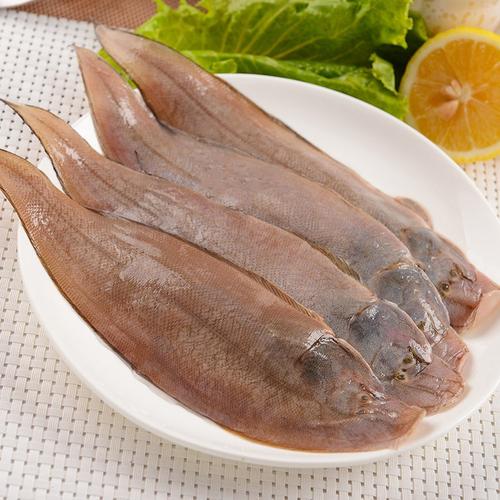 新鲜海捕龙利鱼舌头鱼踏板鱼牛舌鱼鱼柳鳎目鱼海鲜冷冻水产大号5斤装