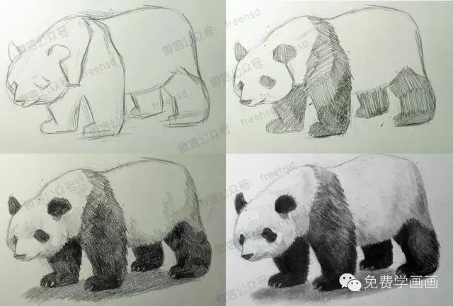 【综合系列】一步一步学画大熊猫