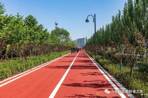 太原滨河自行车专用道今天通车,摄影爱好者朱欧英全方位展示它的美景