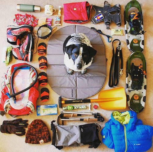 我是要和家人一起去登山的,全套登上准备起来!