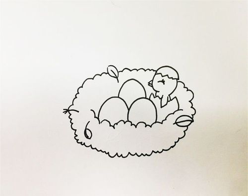 鸟窝怎么画