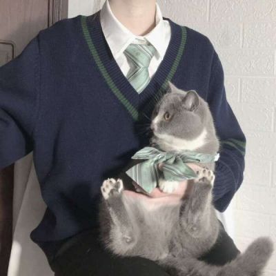 赴野/部位dk兄弟男头可单用 高冷成熟风 春光如此也不见你