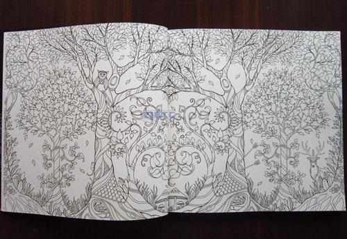 魔法森林英文原版 enchanted forest填色涂鸦书秘密花园续作 现货