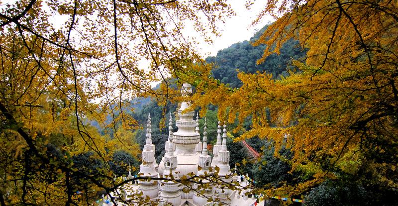 白岩寺