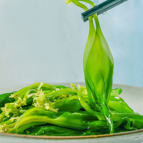小海带苗5斤 嫩芽福建霞浦非特级干货裙带菜火锅食材批发新鲜薄幼