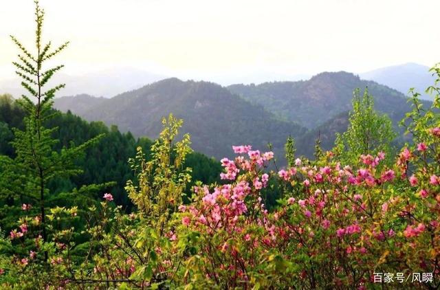 杜鹃山旅游风景区