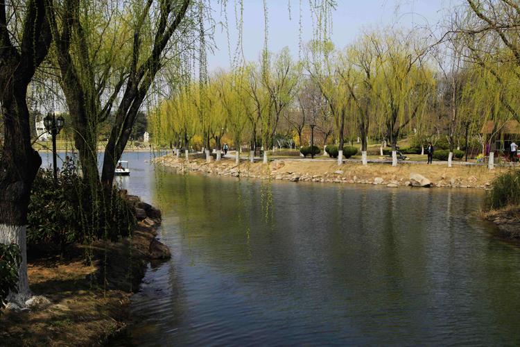 柳绿湖岸,春回世纪公园