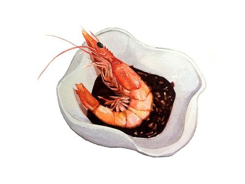 【小食刻】 虾 手绘 水彩 水彩美食 海鲜 酱油
