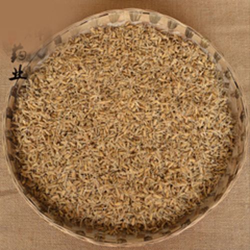 惠恩药材行常用中药材生谷芽——炒谷芽8元 500g1