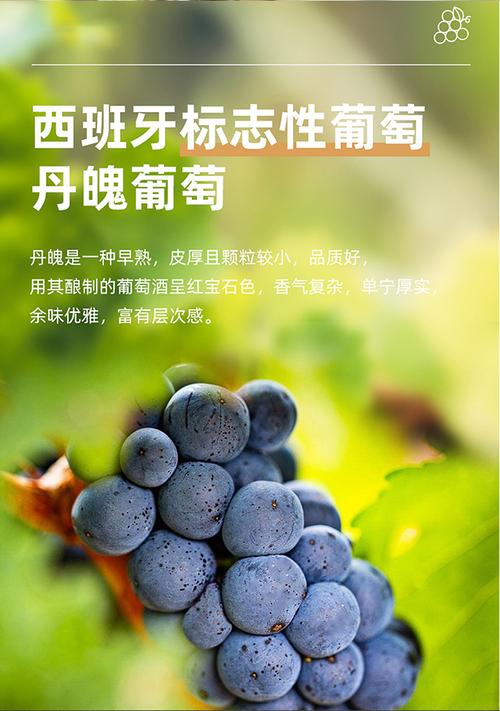 勃兰登堡红酒原瓶进口12度干红葡萄酒750ml女士整箱试饮送礼特价