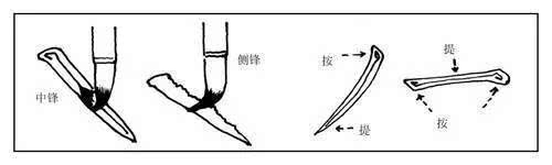 用笔的方法有:起笔,收笔,圆笔,方笔,中锋,侧锋,露锋,藏锋,提按,转折等