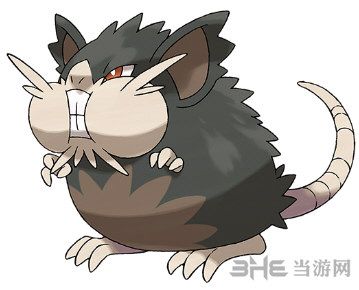 宝可梦的进化小拉达-拉达以上就是精灵宝可梦太阳月亮拉达的图鉴信息