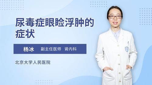 主讲人 : 杨冰 副主任医师  肾病内科 擅长简介:慢性肾脏病 肾炎综合