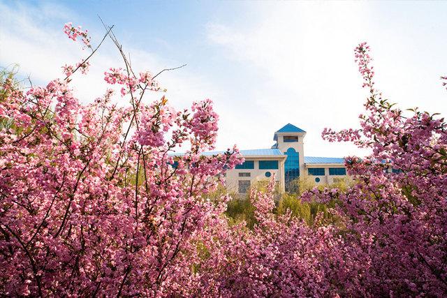 山东中医药大学校园风光