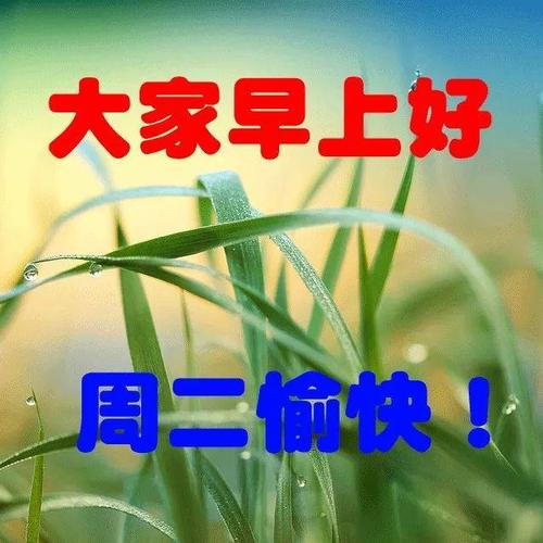 周二早晨好祝福图片 新的一天早上好表情图片全集