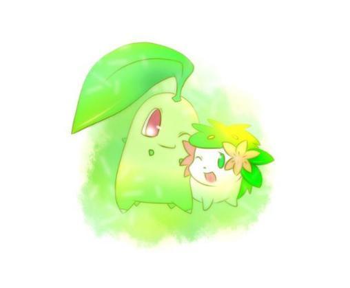 《精灵宝可梦》图鉴152:用头上叶子散发香气的宝可梦——菊草叶