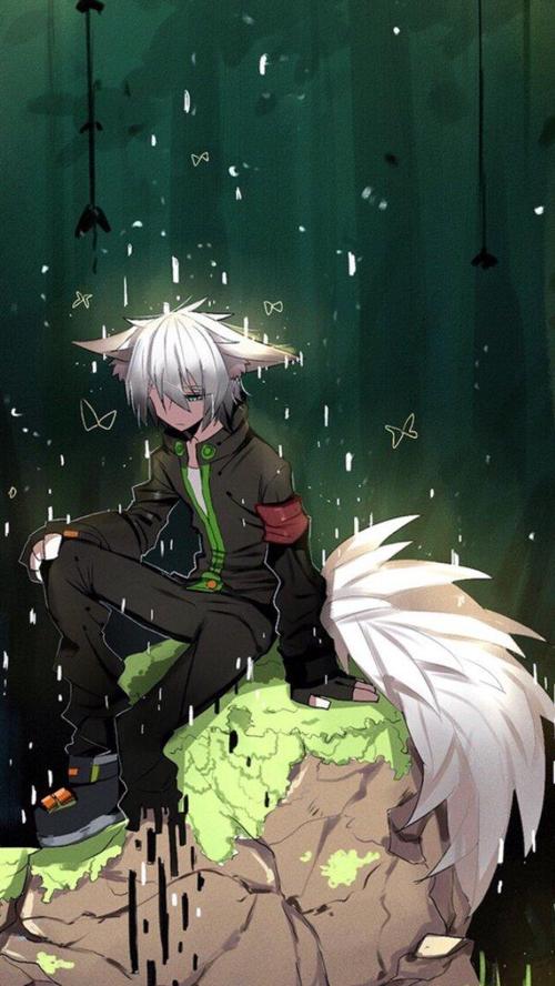 凹凸世界美图搬运:神算鬼谋——鬼狐天冲