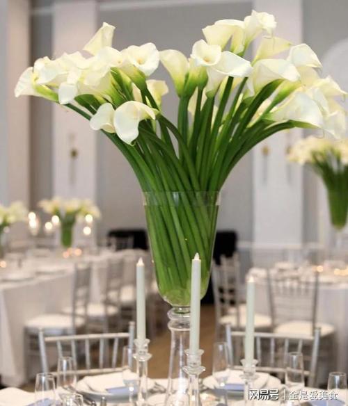 马蹄莲如何加入花艺创作布尔玛小课堂